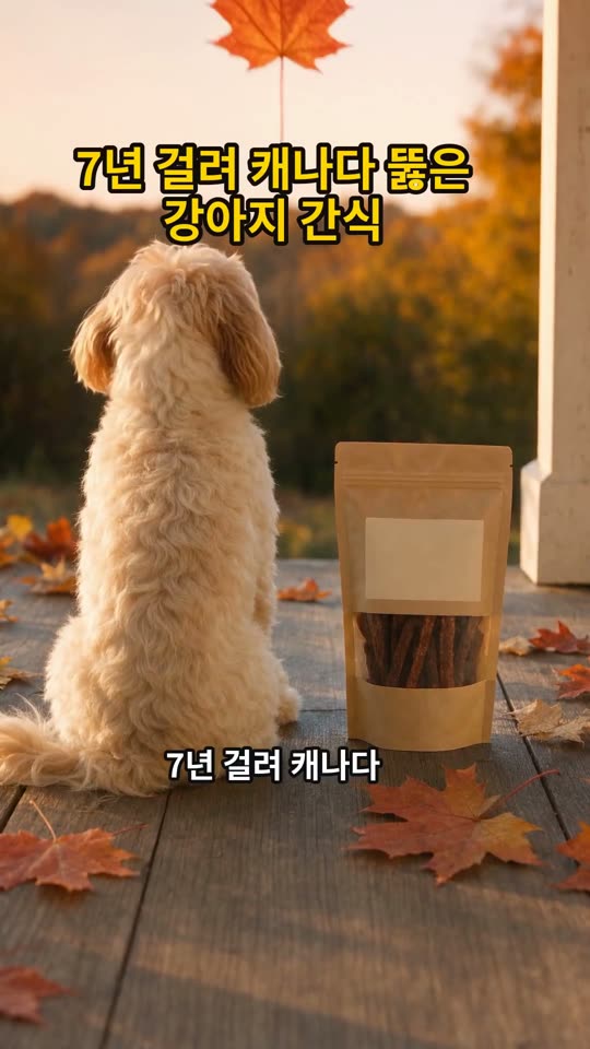 7년 걸려 캐나다 뚫은 강아지 간식 쇼츠 썸네일